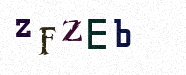 Visual Confirmation Security Code