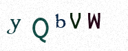 Visual Confirmation Security Code