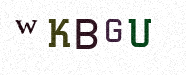 Visual Confirmation Security Code