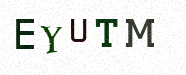 Visual Confirmation Security Code