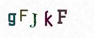 Visual Confirmation Security Code