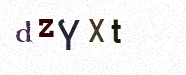 Visual Confirmation Security Code