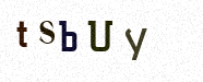 Visual Confirmation Security Code