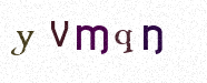 Visual Confirmation Security Code