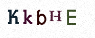 Visual Confirmation Security Code