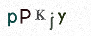 Visual Confirmation Security Code
