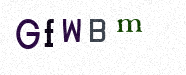 Visual Confirmation Security Code