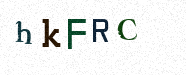 Visual Confirmation Security Code