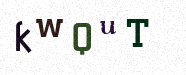 Visual Confirmation Security Code