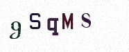 Visual Confirmation Security Code