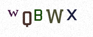 Visual Confirmation Security Code