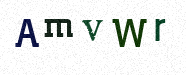 Visual Confirmation Security Code