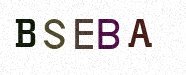 Visual Confirmation Security Code