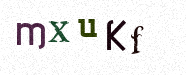 Visual Confirmation Security Code
