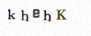 Visual Confirmation Security Code