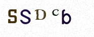 Visual Confirmation Security Code
