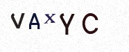Visual Confirmation Security Code