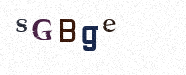 Visual Confirmation Security Code