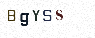 Visual Confirmation Security Code