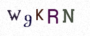 Visual Confirmation Security Code