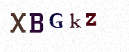 Visual Confirmation Security Code
