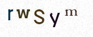 Visual Confirmation Security Code