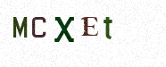 Visual Confirmation Security Code