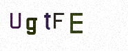 Visual Confirmation Security Code