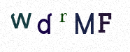 Visual Confirmation Security Code