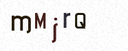 Visual Confirmation Security Code