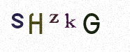 Visual Confirmation Security Code