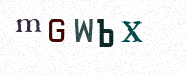 Visual Confirmation Security Code