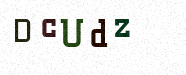 Visual Confirmation Security Code