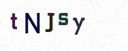 Visual Confirmation Security Code