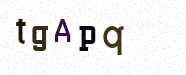 Visual Confirmation Security Code