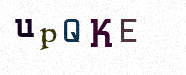 Visual Confirmation Security Code