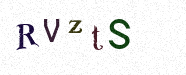 Visual Confirmation Security Code