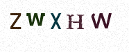 Visual Confirmation Security Code