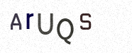 Visual Confirmation Security Code