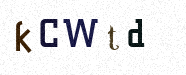 Visual Confirmation Security Code