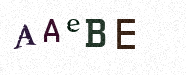 Visual Confirmation Security Code