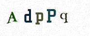 Visual Confirmation Security Code