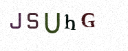 Visual Confirmation Security Code