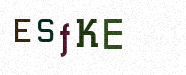 Visual Confirmation Security Code