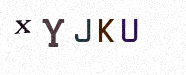 Visual Confirmation Security Code