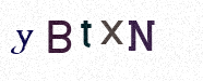 Visual Confirmation Security Code