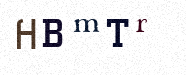 Visual Confirmation Security Code