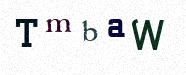 Visual Confirmation Security Code