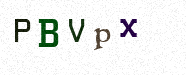 Visual Confirmation Security Code