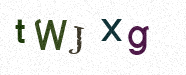 Visual Confirmation Security Code